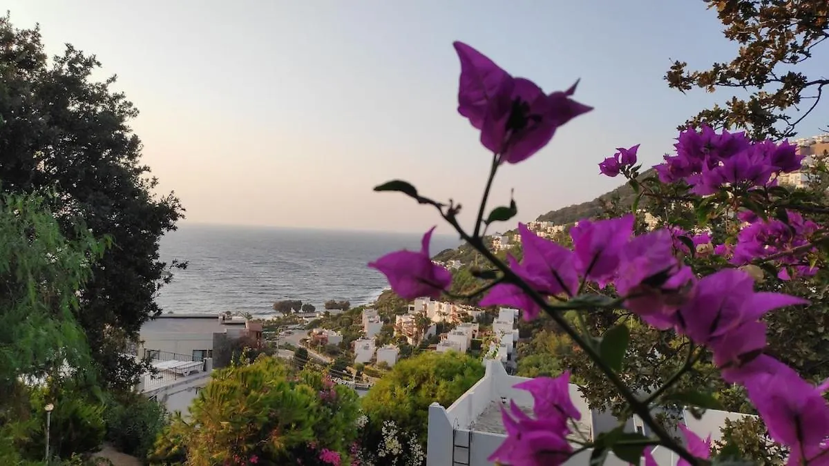 Private Villa & Beach With Sea View Yalıkavak 0*,